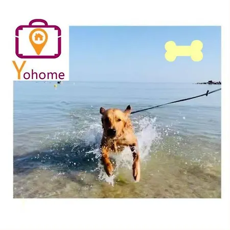 アパート Vaccaj Cultura Musica E Mare A By Yohome *